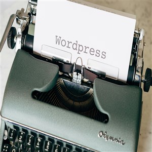A Developer’s Guide: Top Technical Features of Modern WordPress Hosting