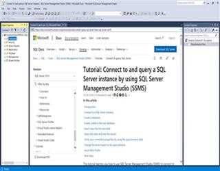 How executing SQL Queries in SQL Server Management Studio (SSMS) and Displaying Results?