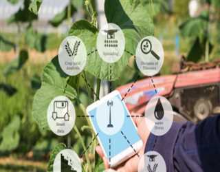 IoT and Agriculture: Leveraging Connected Devices for Precision Farming