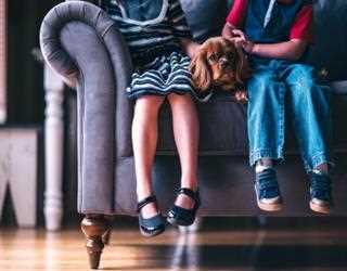Support or comfort? Your next sofa should be both