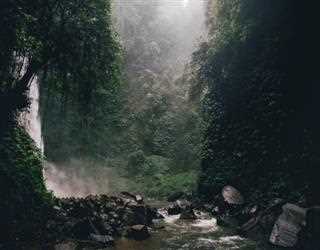 The benefits of Nature Sounds on Human Health