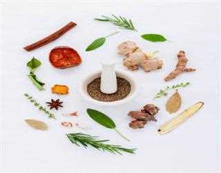 Ayurvedic Herbs and their Benefits