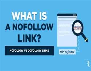 Types of Links in SEO