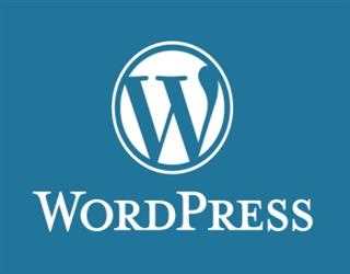 Introducing Dynamic Wordpress Themes Online, for the Growth of your Business
