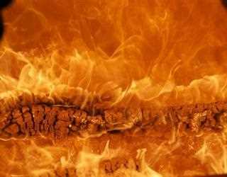 What is Pitta Dosha?