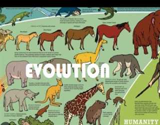 The evolution of life on earth?