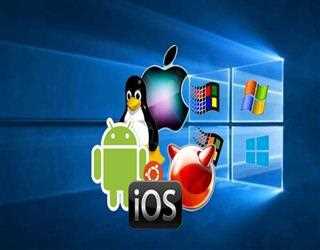 How do Programming Languages run on OS?