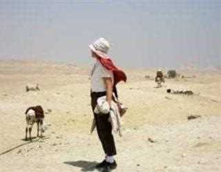 How to Orginize Your Desert Trip Properly?
