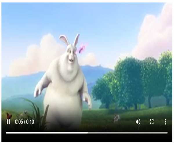 How to use HTML Video tag