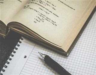 Mathematics and Its Applications in Science and Beyond