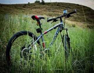 5 Reasons to Try Mountain Biking This Summer