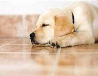 Tile and Grout Cleaning Tips to Keep your Floor Looking Clean and Bright
