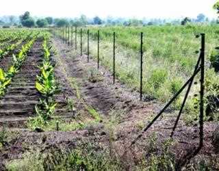 Electric Fencing And Accessories: Are They Worth?