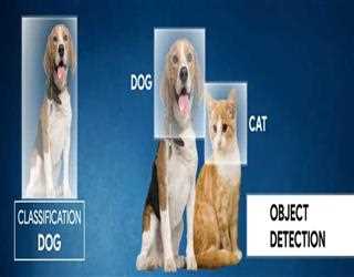 Key Techniques Used In Object Detection And Image Classification