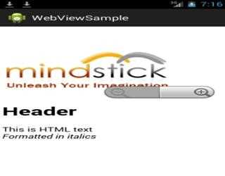 WebView in Android: Display Local Assets