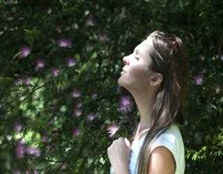 How Air Purifier Helps to Remove Air Pollution