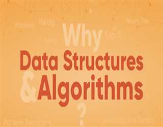 Is it necessary for a programmer to learn data structures and algorithms?