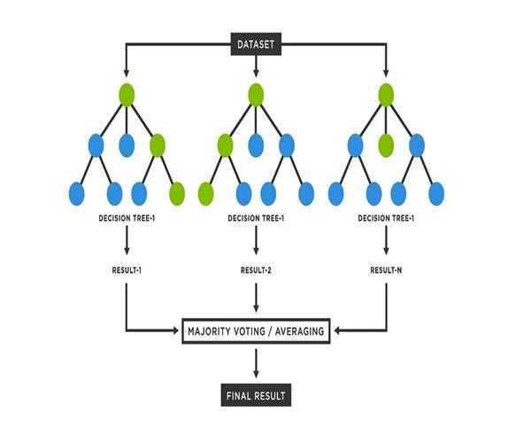 How does a random forest work in machine learning