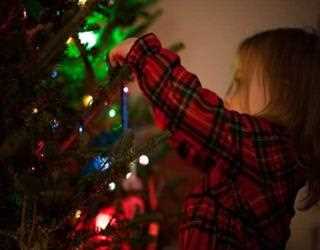 Tips to put loop Christmas tree lights on a tree