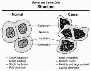 Oral Chemotherapy
