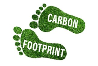 The Carbon Footprint of AI: Is AI Development Environmentally Sustainable?