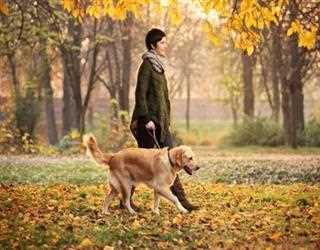 How To Properly Take Care Of A Dog