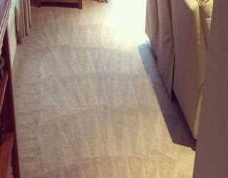 DIY: Carpet Cleaning Spot Removal Guide