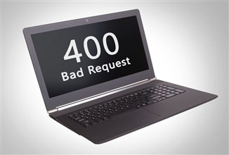 What Is a 400 Bad Request? And how to fix it?