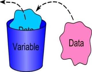 WHAT IS A VARIABLE?