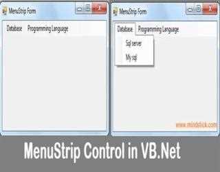 Menu Strip Control in VB.Net