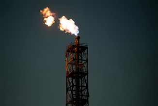 Oil and gas asset management software: features, best solutions and how to choose in 2026