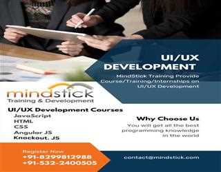 Why You Should Learn UI/UX Development At The MindStick Training Portal