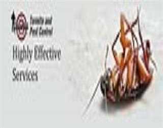 Tips and information related to pest control