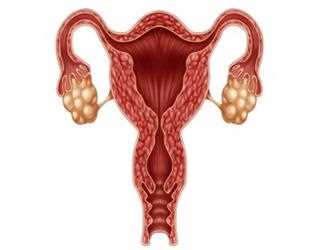 All About Hysterectomys?