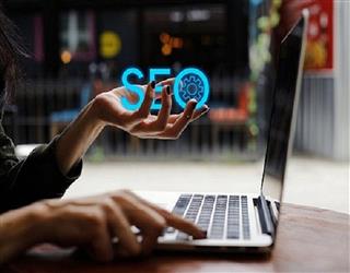 Online Free Freelancing