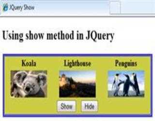JQuery show method