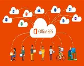 MS Office 365 Review