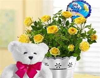 Some Delightful Get Well Soon Flowers With Positive Vibe