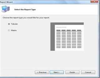 MicrosoftReportViewer Control in ASP.Net