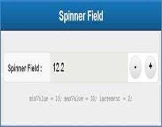 Spinner Field in Sencha Touch