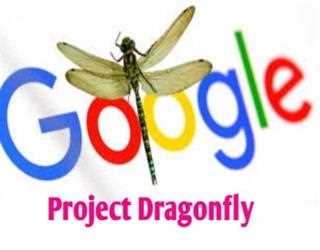 Dragonfly: A Search Engine by Google