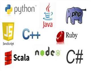 Best Programming Languages To Learn In 2024 And How MindStick Can Help?