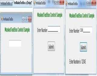MaskedTextBox Control in C#.Net