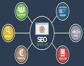 SEO Trend in 2020
