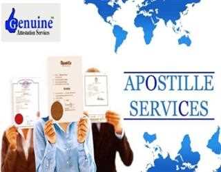 DC Mobile Notary Apostille Service