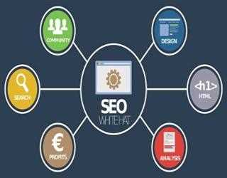 How Can You Get Better with Your Local SEO Campaign?