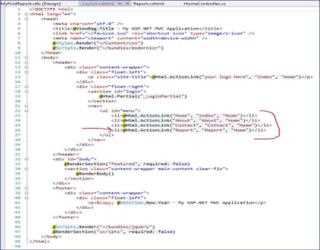 RDLC report in MVC application