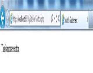 PHP Switch Statement