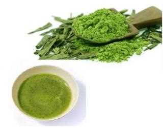 Matcha Versus Sencha: Which Is The Better Green Tea