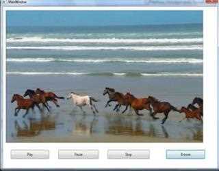 Media Element in WPF